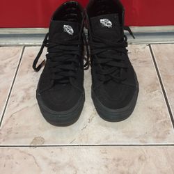 Vans Sk8er Shoes