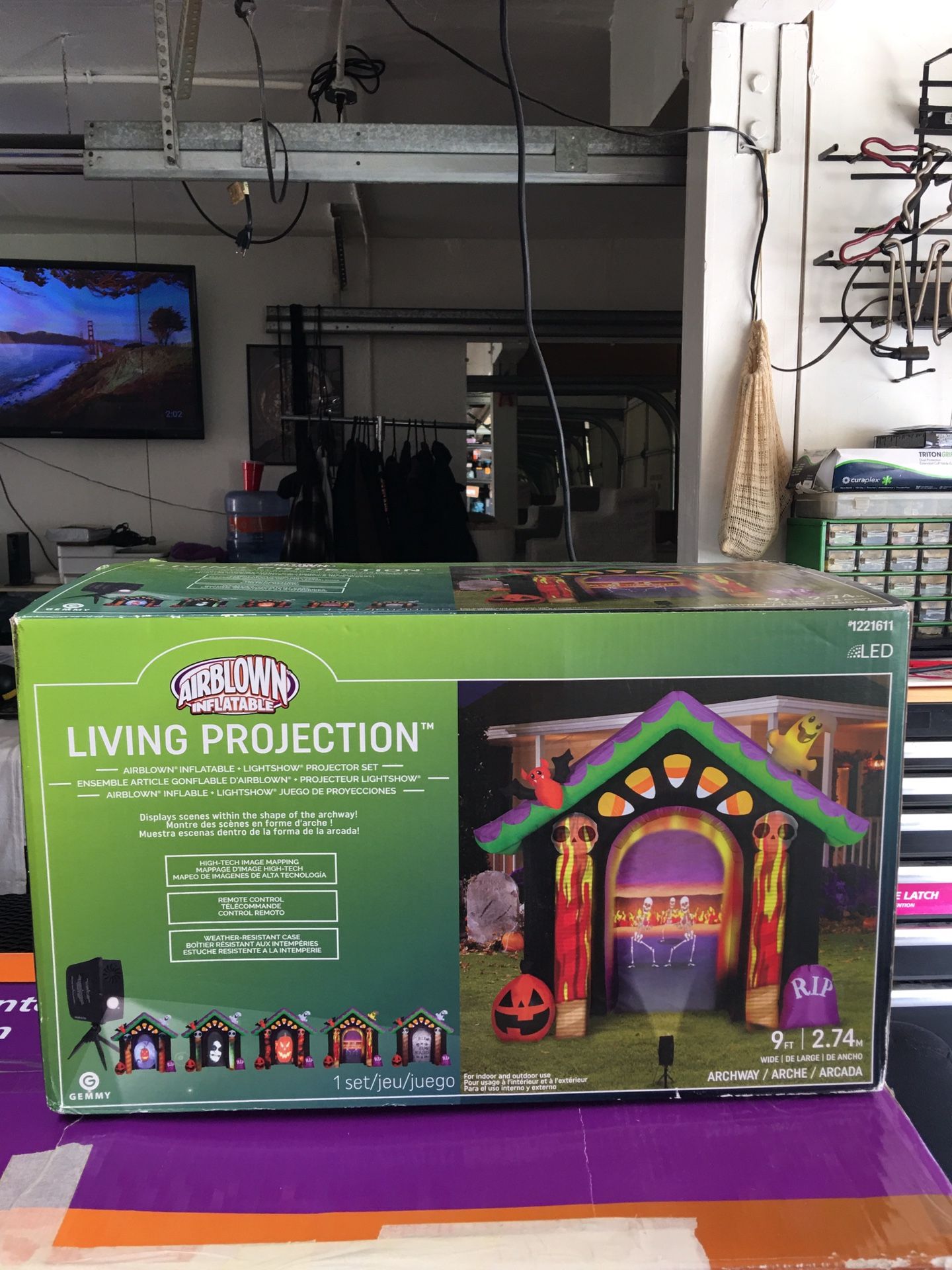 AirBlown Inflatable Living Projection