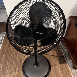 Pedestal Fan In Great Condition 