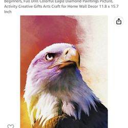 Feisoon DIY 5D Diamond Painting by Numbers Kits for Adults Kids Beginners, Full Drill Colorful Eagle Diamond Paintings Picture, Activity Creative Gift