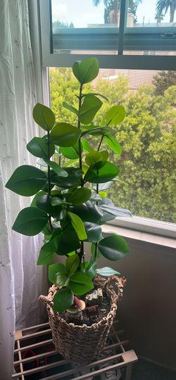 Boho Faux Plant