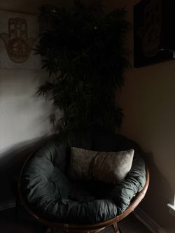 Papasan chair