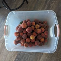 Peaches For Sale $20