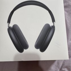 Apple Max Headphones 