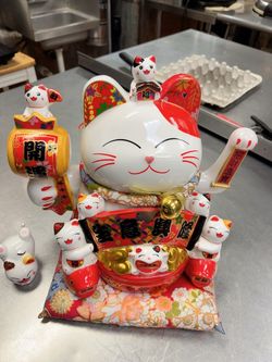 Fortune-seeking cat
