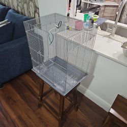 Bird Cage