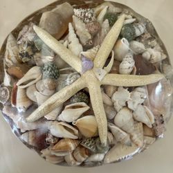 Basket Of Shells