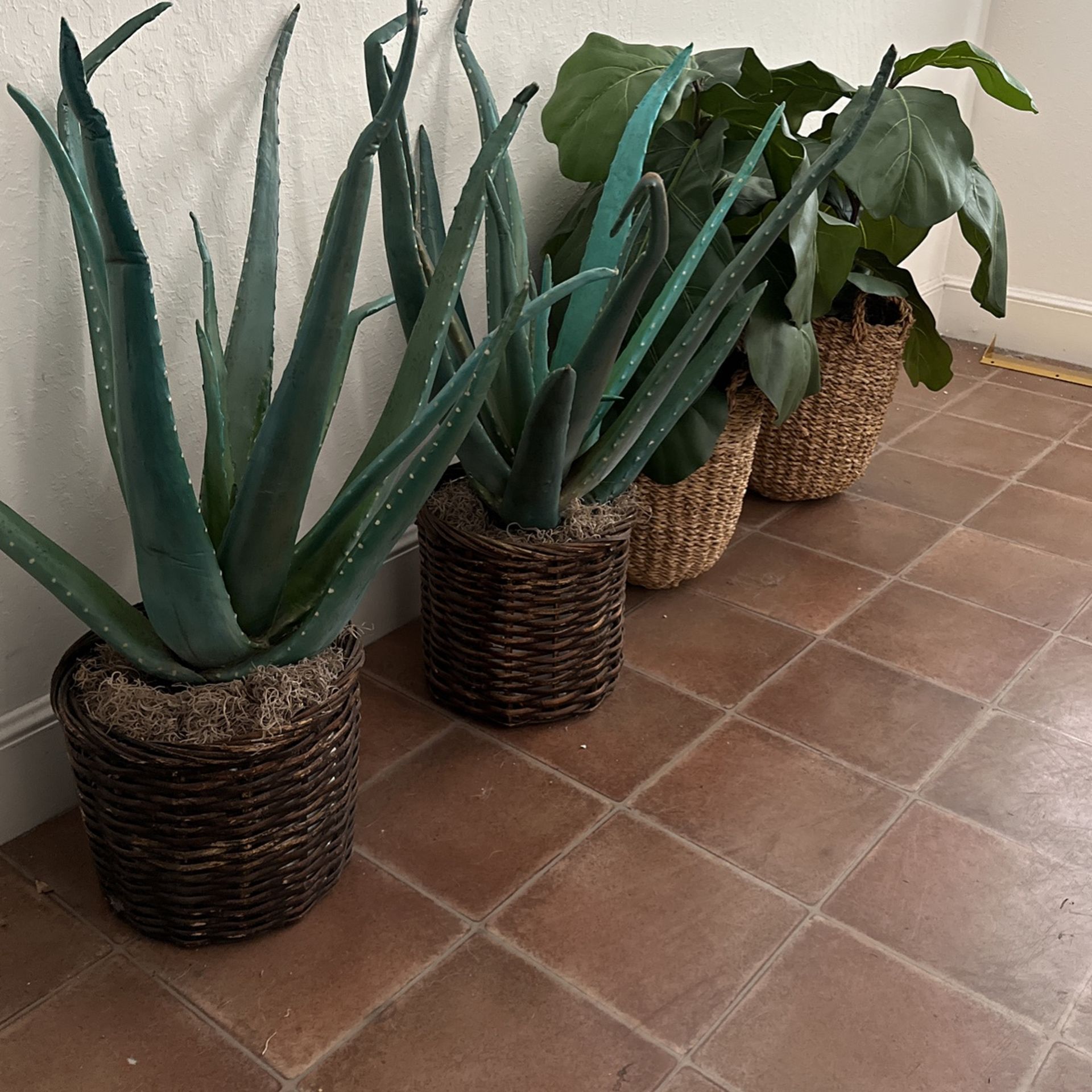 Artificial Plants