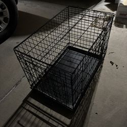 Kong Pet Kennel
