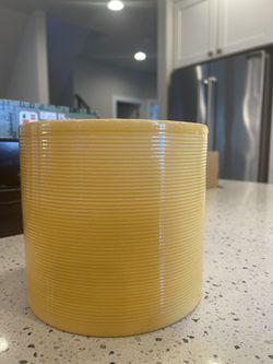 Yellow Plant Pot Hairline Crack