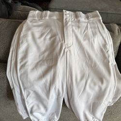 Champ Pro Baseball Pants