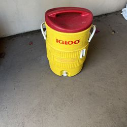 Igloo Cooler 