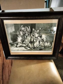 ANTIQUE ENGRAVING BY SAMUEL CARTER SEPTEMBER 1881" LIONESS AND CUBS"MATTED AND GALLERY FRAMED WITH GLASS COVER DUST COVER ON BACK WITH HANGING WIRE