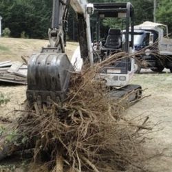 Stump Remover 