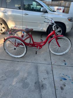 Adult tricycle