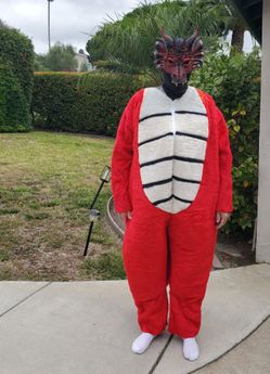 Dragon Costume MAKE AN OFFER