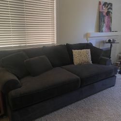 Couch (with down cushions and removable covers)
