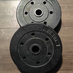 Pair Of 10 Lb Weights 