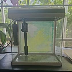 2 Gallon Aquarium With Accessories