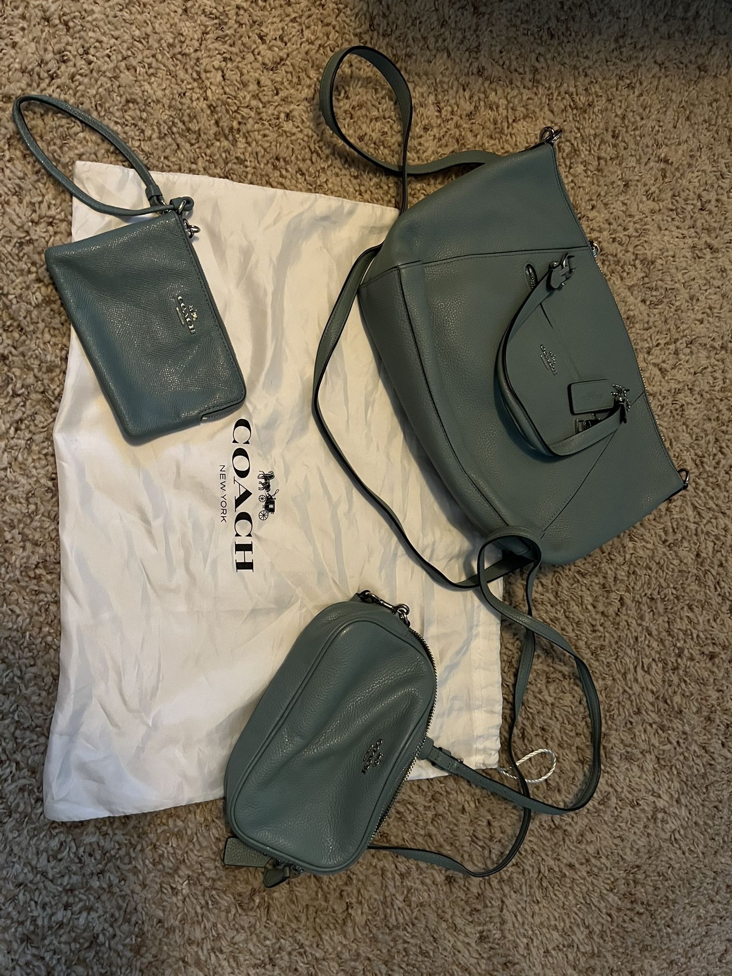 Coach Bags Authentic Gently Used Set