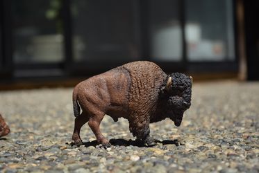 Schleich American Bison