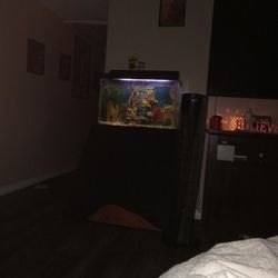 Nice Fish Tank With Everything And Wooden Stand 