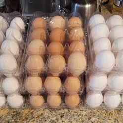 Eggs/ Huevos / Frescos 