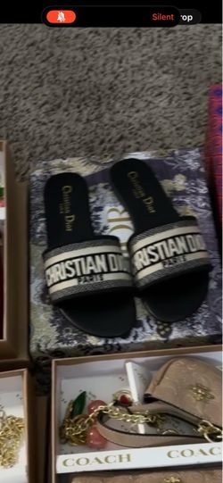 Dior slides