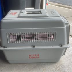 Cat Or Small Dog Kennel  Thumbnail