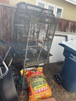Bird Cage