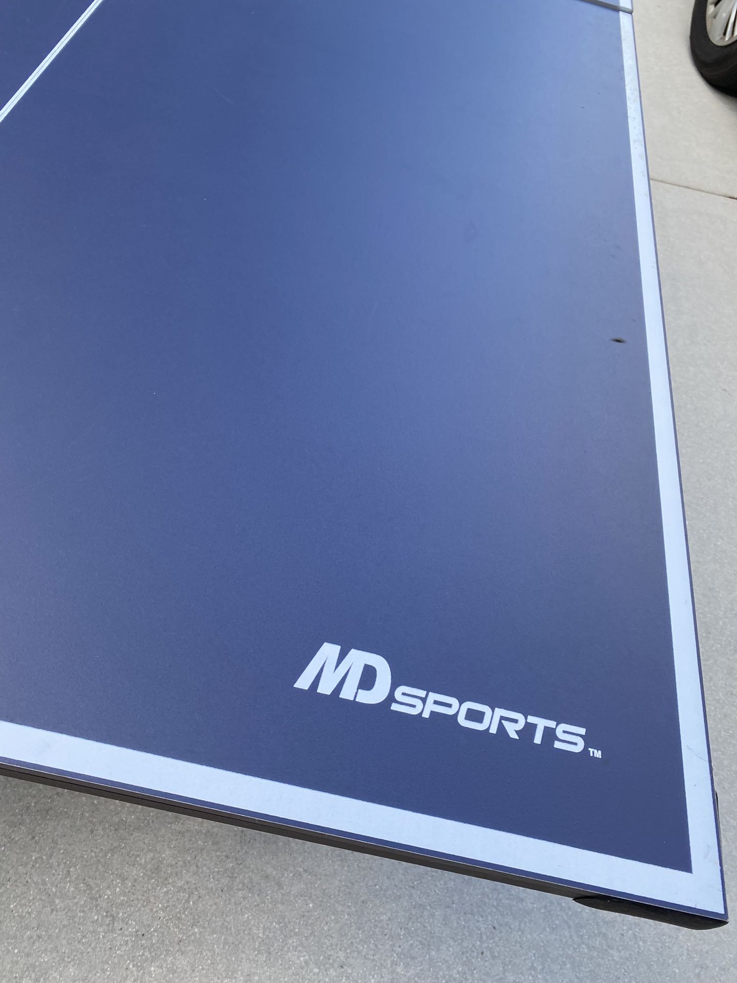 Ping Pong Table 