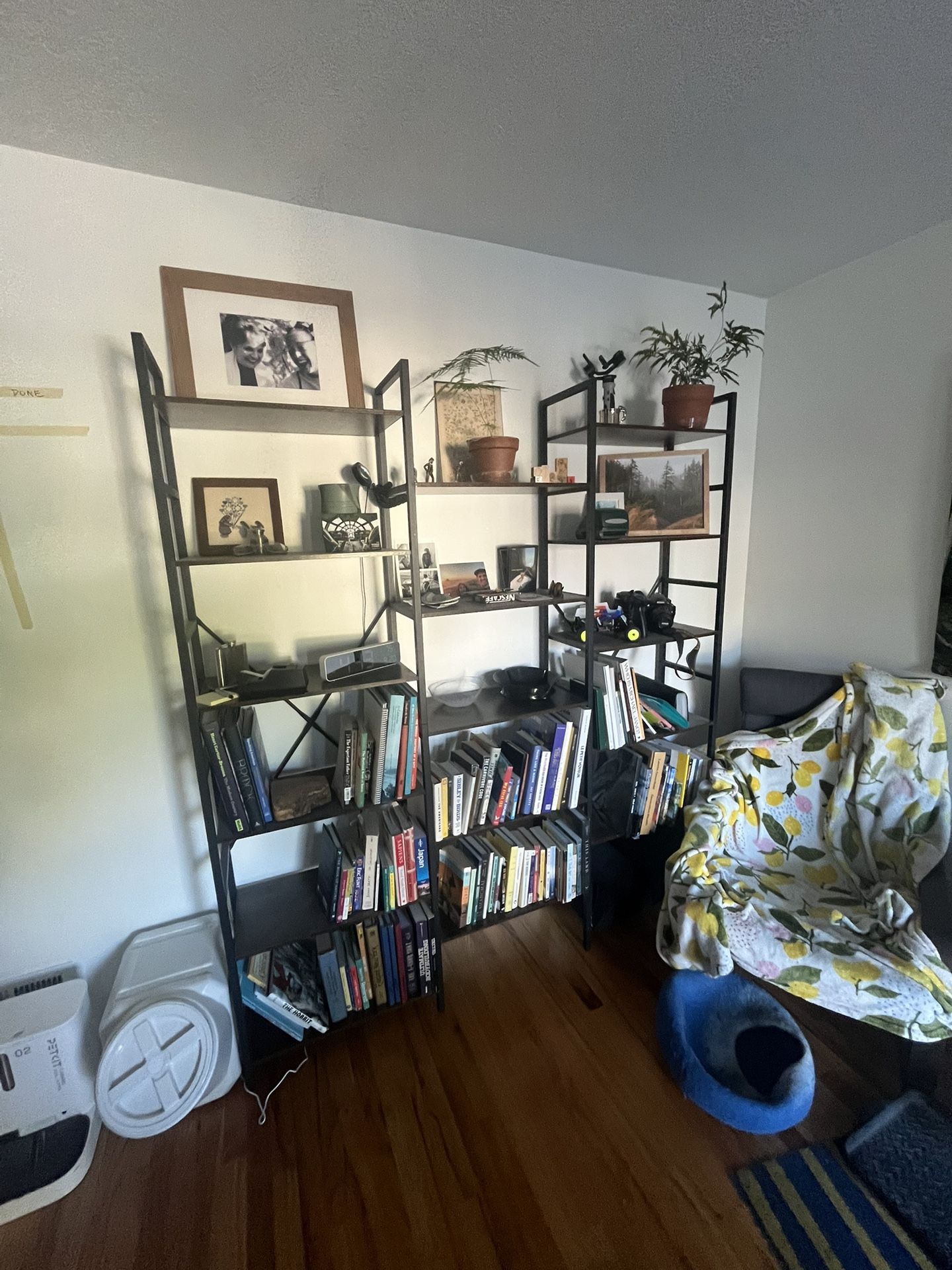 Shelf
