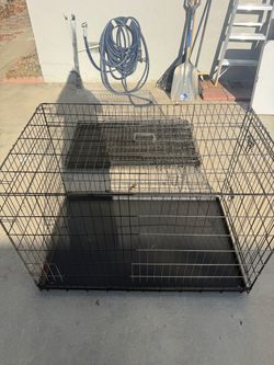 Dog Kennel