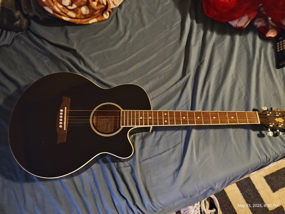 Ibanez Guitar