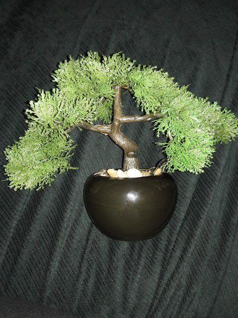 Artificial Bonsai Tree For Sale In Davenport Fl Offerup