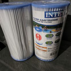 Intex filter