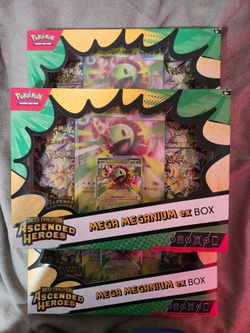 Ascended Heroes Mega Meganium ex Box