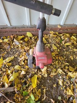 Weed eater snapper