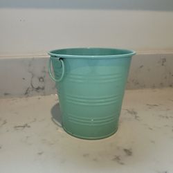Teal Garden Paul