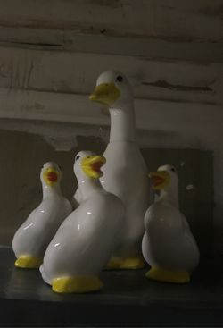 EUC Ceramic ducks for indoor use $10