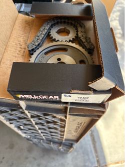 Timing chain and gears