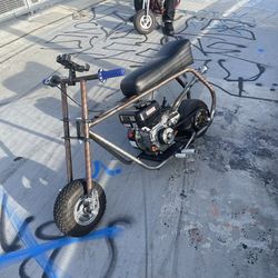 2025 New 5 Inch BAM Roller / Willing To Trade