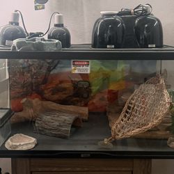 Terrarium 