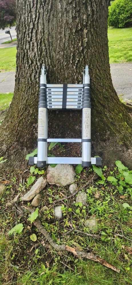 Telescoping Ladder