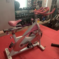 $325 Pink Spinner Bike Sunny Health & Fitness