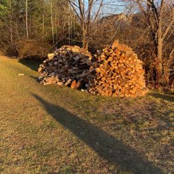 Seasoned Camp Fire Wood 