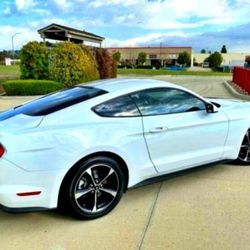 Superb 2018 Ford Mustang