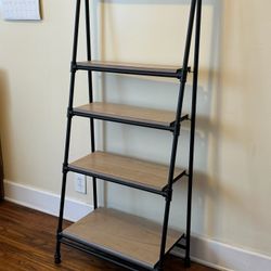Ladder Bookshelf