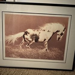 Paint Pony, framed 19” x 15”