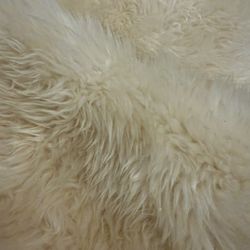 Sheep Skin Rug